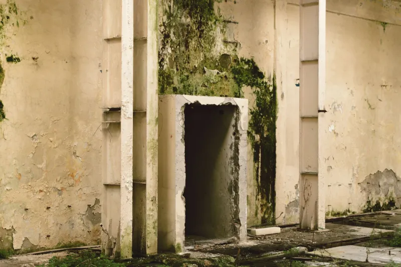 When Water Weakens the Wall: The Hidden Link Between Moisture Damage and Fire Vulnerability in American Homes